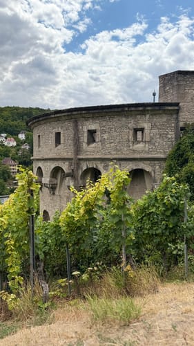 Mainbrücke - Festung Marienberg