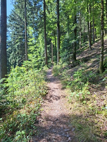 Hochblauen Gipfel