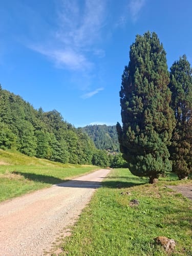 Hochblauen Gipfel