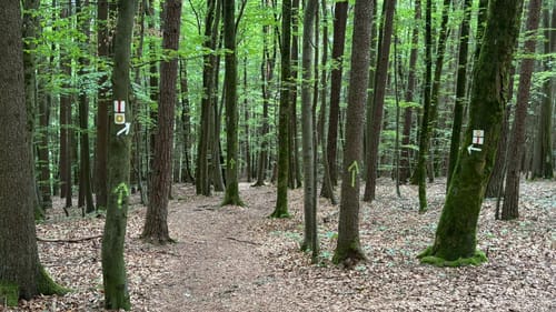 Höhlenwanderung: Romantischer Wanderweg Muggendorf