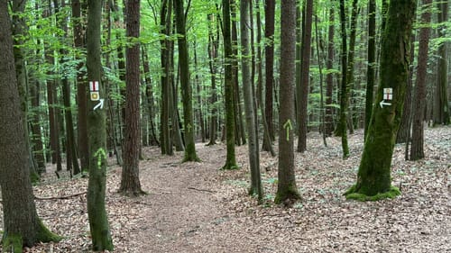 Höhlenwanderung: Romantischer Wanderweg Muggendorf