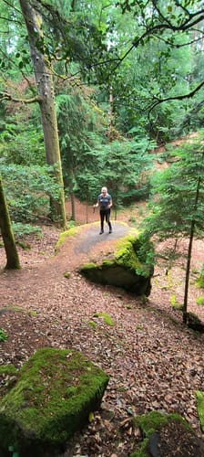 Naturpark Südeifel Wanderweg Nr. 55 - Bollendorf