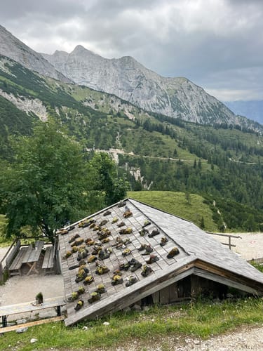 Gipfelwanderung auf die Montscheinspitze
