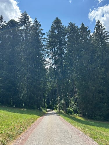 Rundweg Hinterzarten - Ravennaschlucht