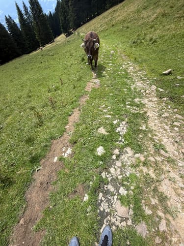 Burgberg - Grünten Rundwanderung