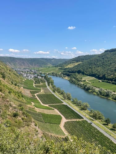 Moselsteig Etappe 18: Beilstein - Cochem