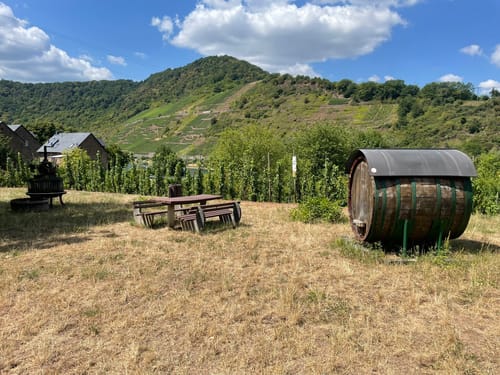 Moselsteig Etappe 18: Beilstein - Cochem