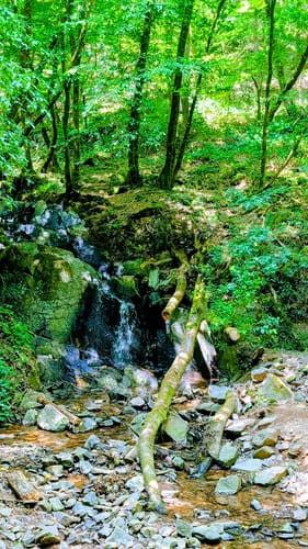 Cloef-Pfad (Traumschleife)
