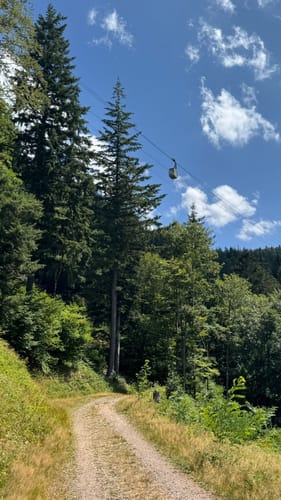 Schauinsland Rundweg