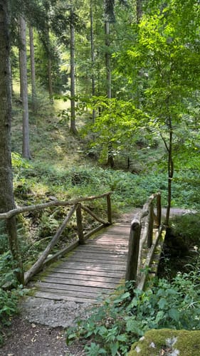 Schauinsland Rundweg
