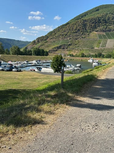 Von Mesenich entlang der Mosel