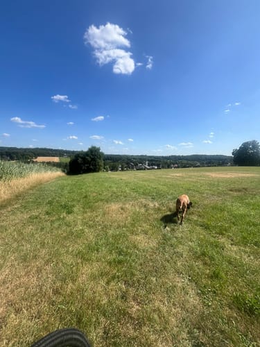 Eulenkopf Rundweg 2