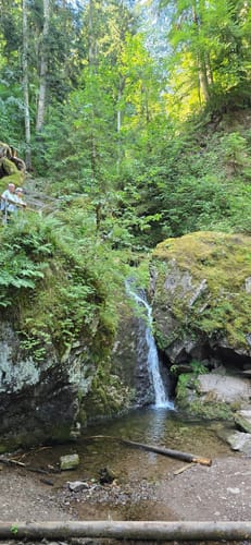Wutachschlucht Rundweg [CLOSED]