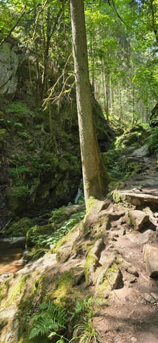 Wutachschlucht Rundweg [CLOSED]