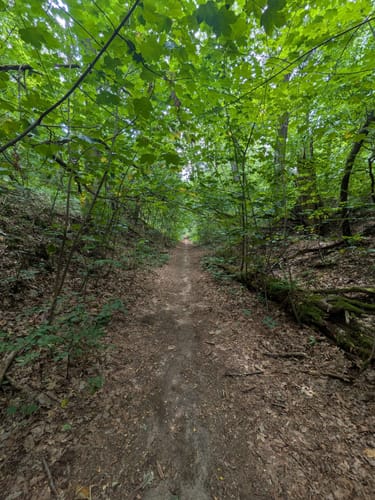 Dresdener Heide ab dem Wildgehege