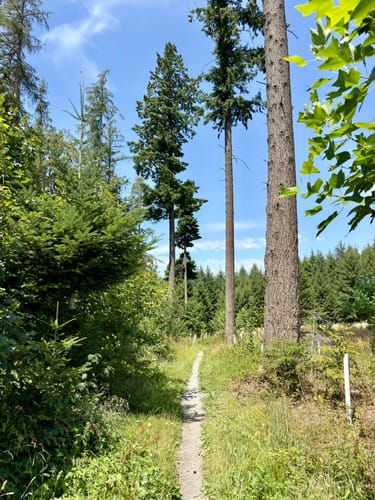 Guckinsland (Premiumwanderweg)