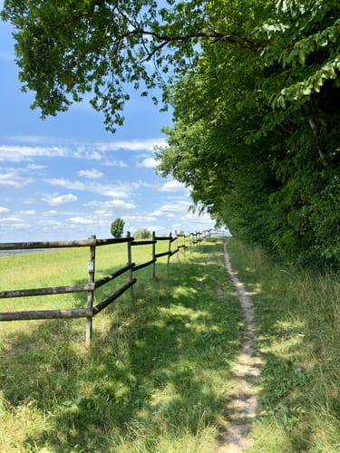 Guckinsland (Premiumwanderweg)