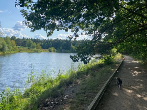 Südheide W11: Auf den Spuren des großen Waldbrandes (mittlere Tour)