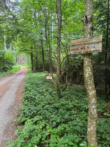 Um den Schmalegger Wasserfall und Ringgenburg