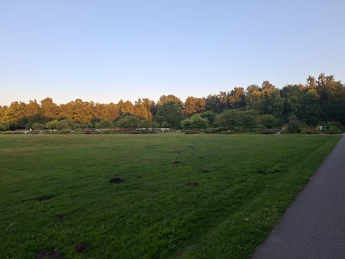 Um den Stadtparksee