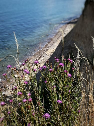 Timmendorfer Strand -  Priwall