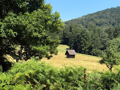 Wildgehege-Rundweg