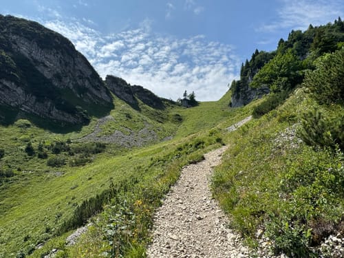 Hochfelln