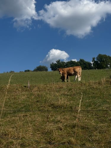 Rundwanderweg: unverDHÜNNt 2