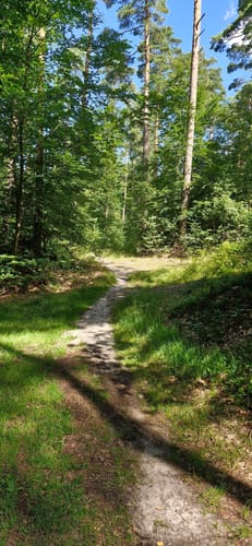 Heisterberg und Königsberg