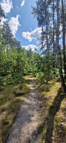 Heisterberg und Königsberg