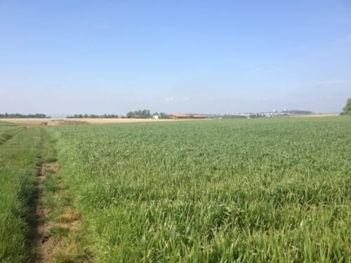 Schwäbische Alb Südrand-Weg HW 2 Etappe 5: Langenau - Ulm