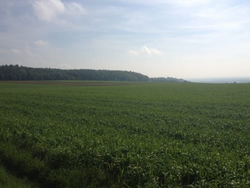 Schwäbische Alb Südrand-Weg HW 2 Etappe 5: Langenau - Ulm