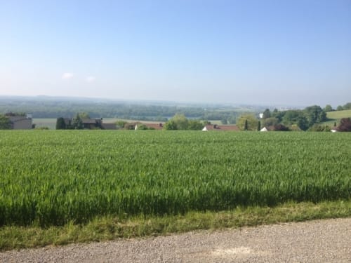 Schwäbische Alb Südrand-Weg HW 2 Etappe 5: Langenau - Ulm
