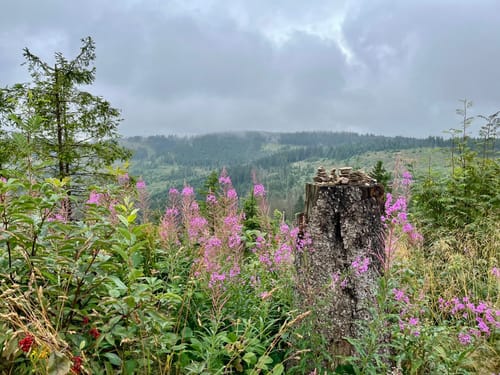 Liebesbankweg (Premiumwanderweg)