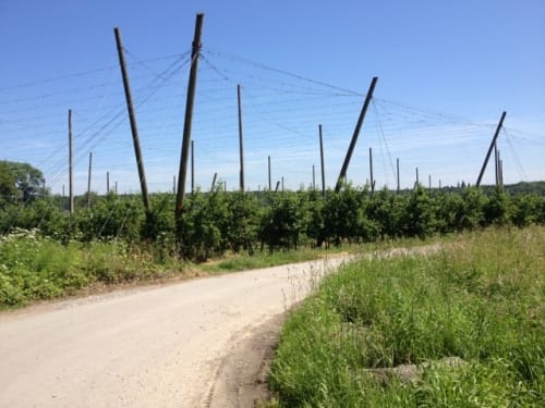 Von Ravensburg Süd in den Adelsreuter Wald