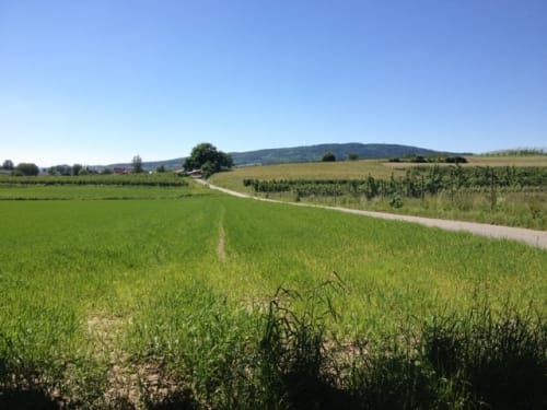 Wanderweg 9 – Teuringer Bächlespfad
