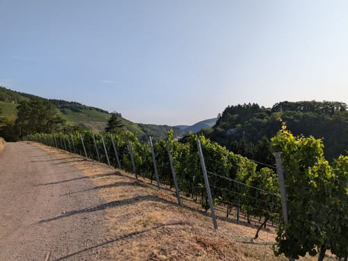 Saarburger Rausch und Burganlage Saalburg