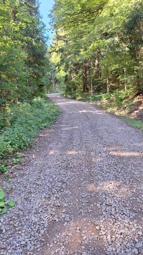Brend und Martinskapelle Rundweg