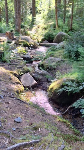 Brend und Martinskapelle Rundweg