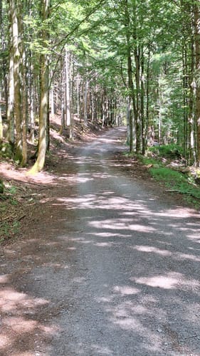Brend und Martinskapelle Rundweg