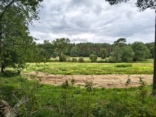 Lüneburger Heide (Traumschleife)