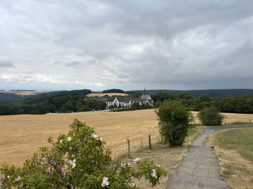 Durch das Herz des Nationalparks Eifel (Klosterrunde)