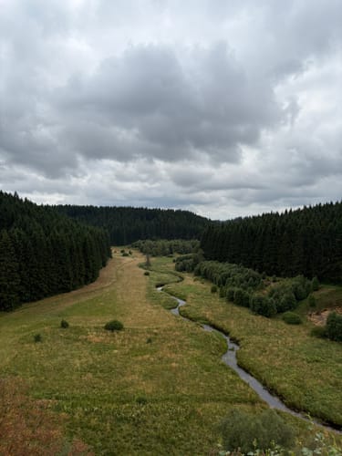 Große Narzissenroute
