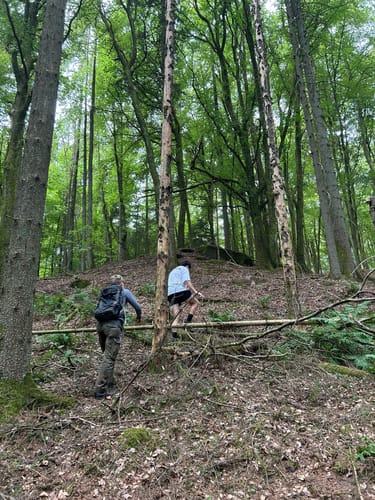 Kirkeler Felsenpfad