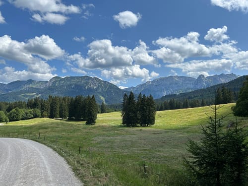 Buchenberg-Rundweg