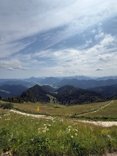 Hochfelln