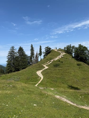 Hochfelln