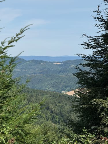 Runde bei Dörlinbach