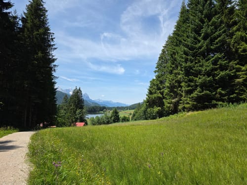 MTB Tour: Esterbergalm - Gschwandtnerbauer