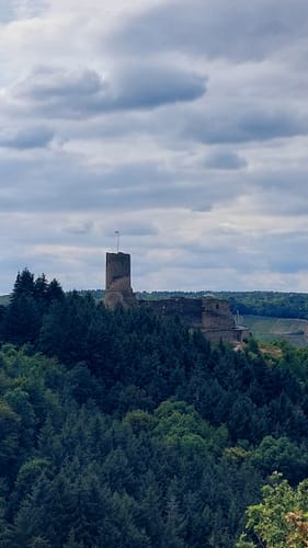Bernkasteler Bärensteig (Moselsteig Seitensprung)